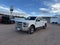 2017 Ford Super Duty F-250 SRW Lariat