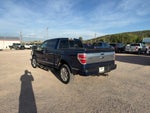 2009 Ford F-150 XL